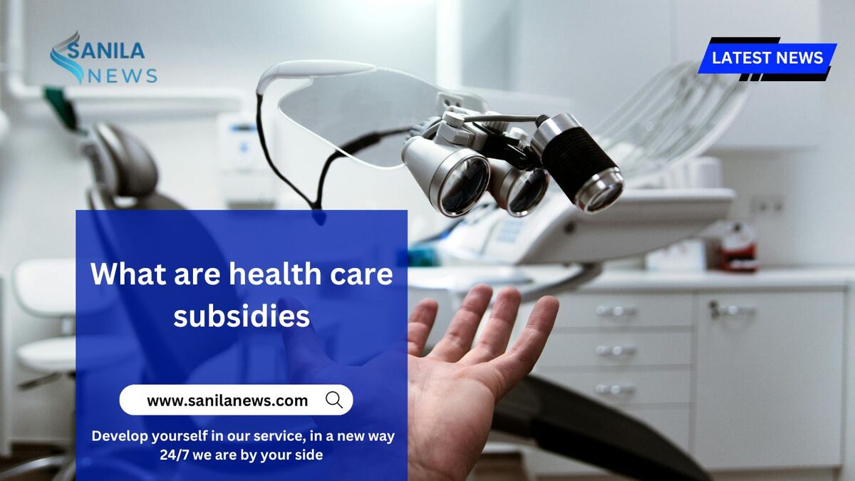 What are health care subsidies