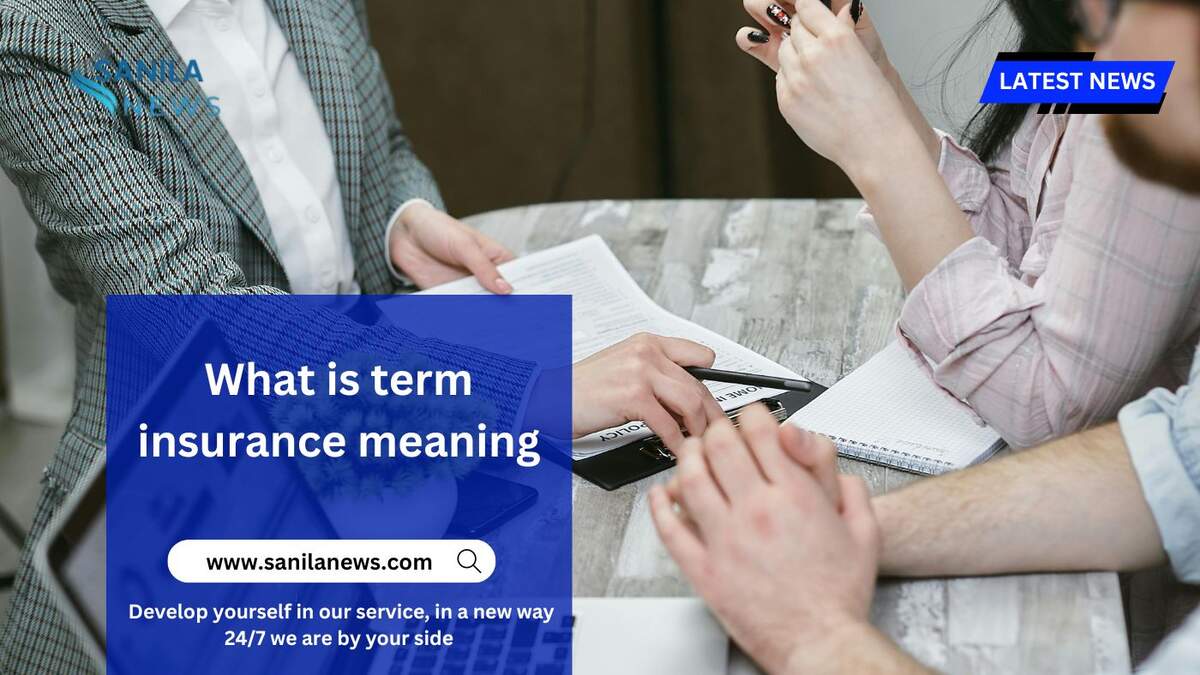 What is term insurance meaning